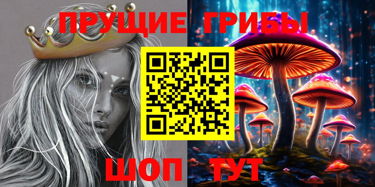 Галлюциногенные грибы GOLDEN TEACHER Сосновоборск