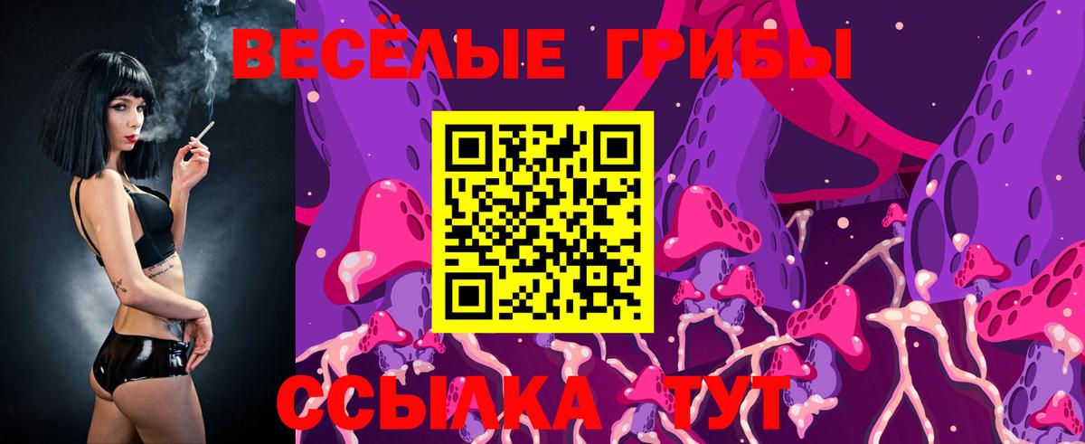 Псилоцибиновые грибы мицелий  Псилоцибиновые грибы мицелий  Сосновоборск  Вход с VPN 